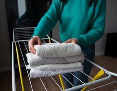 Why Professional Carpet Cleaning Matters